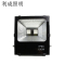 利成照明 彩色泛光灯 LC1321-100W