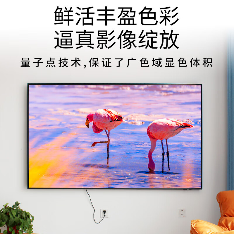 三星(SAMSUNG)65英寸 量子点4K处理器 120Hz动态增强技术 超薄电视 QA65Q70CAJXXZ