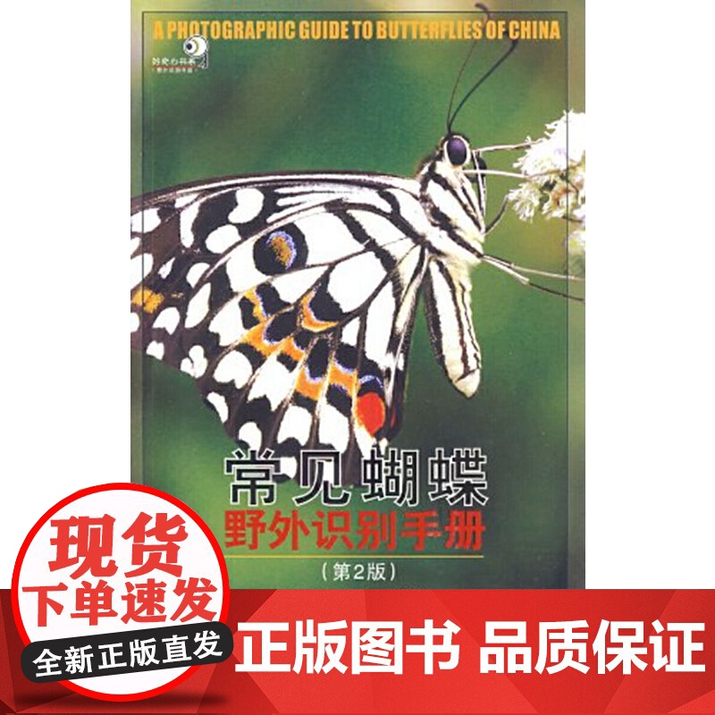 常见蝴蝶野外识别手册高清大图