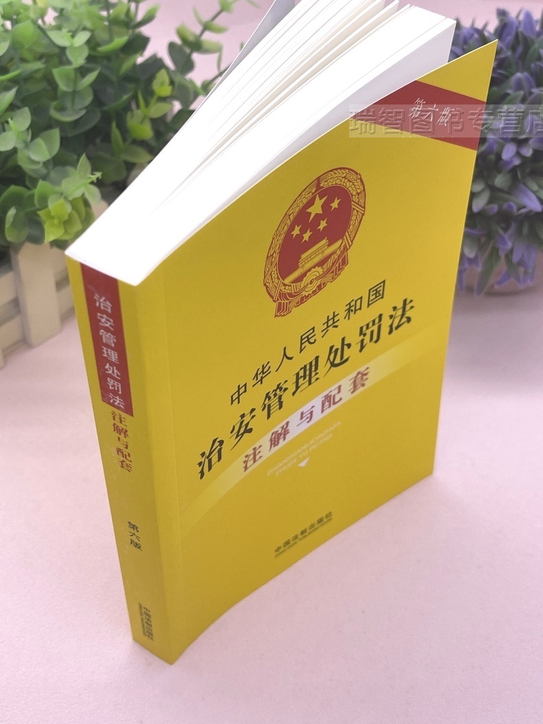 [正版]2023新书中华人民共和国治安管理处罚法注解与配套第六版治安管理处罚法法条治安管理法条治安管理法律法规治安管理高清大图