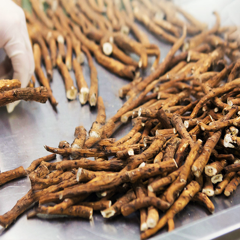 和茶原叶 蒲公英茶 长白山蒲公英根茶 婆婆丁花茶 200g 花草茶
