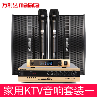 万利达(MALATA ) BT-206家庭影院ktv音响组合套装无线蓝牙 家用会议蓝牙功放音箱组合 卡拉OK会议舞台