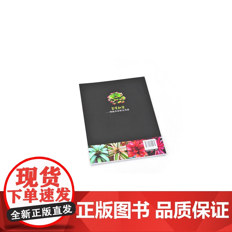 家居新宠——绚丽多彩积水凤梨.黄福贵,任全进,李兆文 主编9787122341471高清大图
