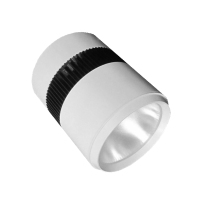 简工智能(JAGONZN)GL-08D 30W LED筒灯(含安装)