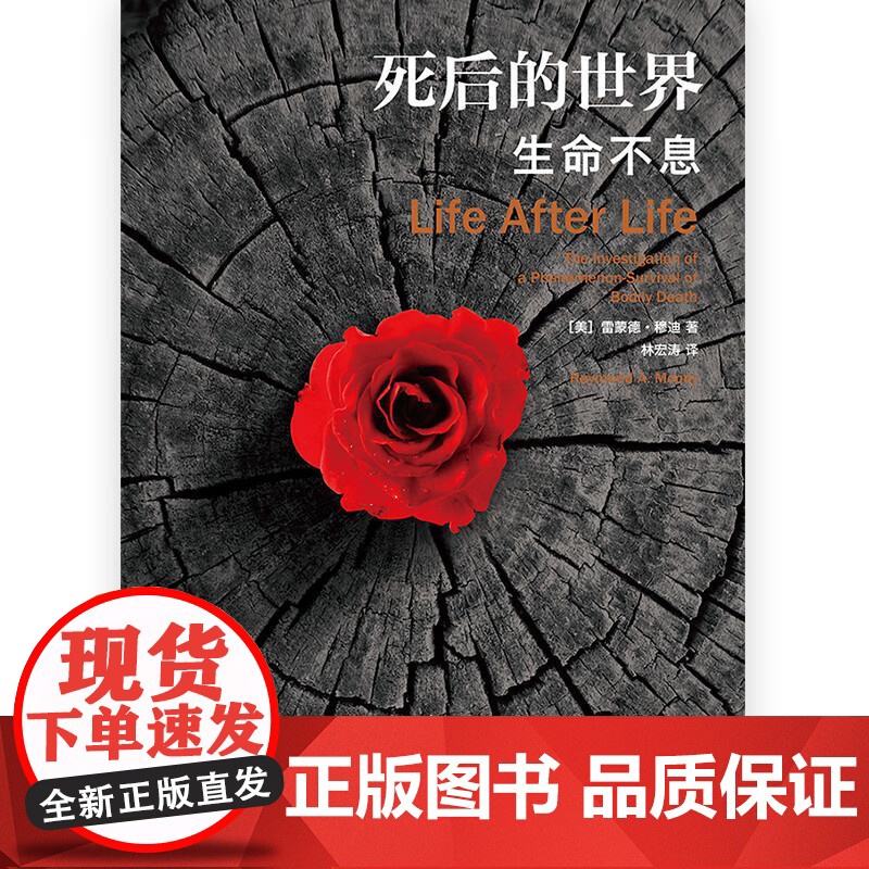 死后的世界(生命不息) 蒙德·穆迪著 死而复生濒死体验心理学灵魂意识人生哲学zong教神秘学社会科学书籍 后浪出版高清大图