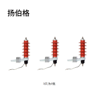 扬伯格 氧化锌防护器 HY5WS-17/50T 组