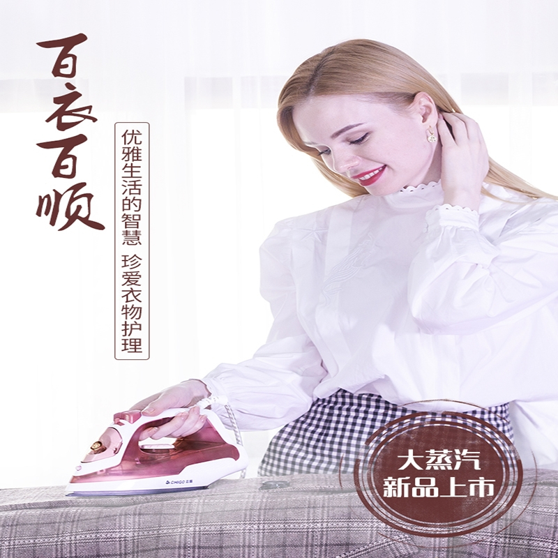 志高（chigo）家用蒸汽挂烫机小型熨烫机熨电熨斗