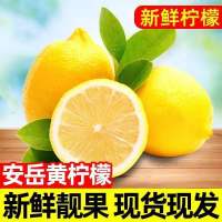四川黄柠檬 5斤 柠檬 新鲜水果 水果 陈小四水果