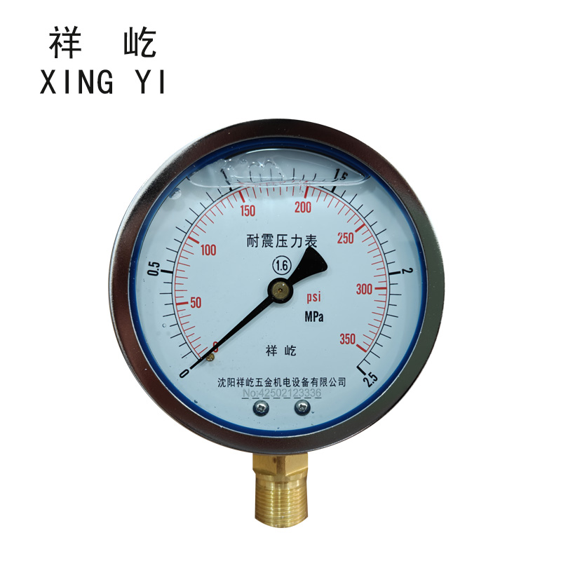 祥屹 耐震压力表 YTN100 0-2.5Mpa 块高清大图