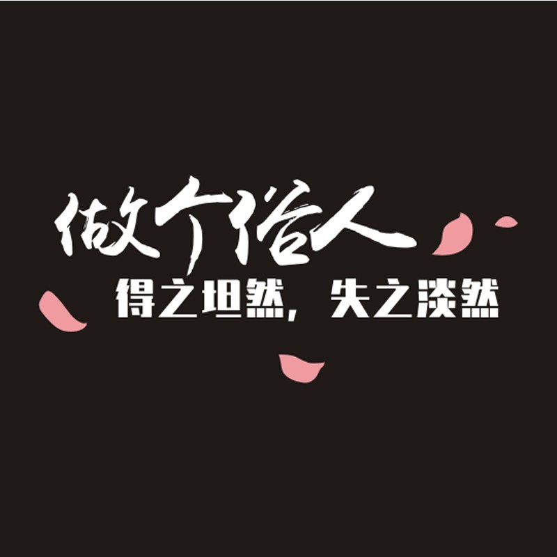 做个俗人抖音网红个性车贴装饰汽车后窗玻璃车身文字反光贴纸定制 得