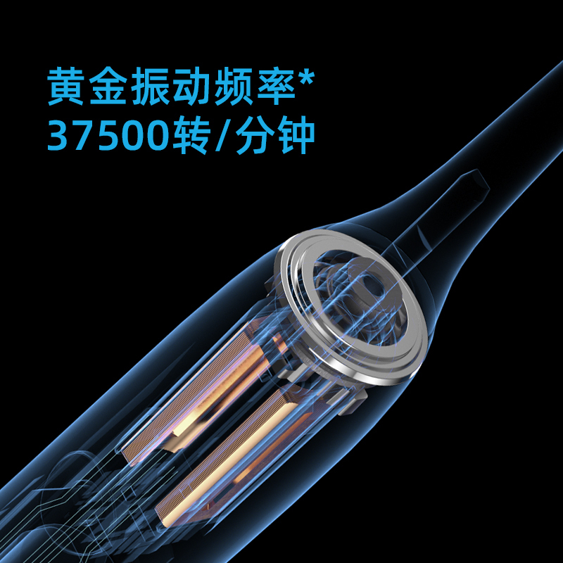 飞科(FLYCO)电动牙刷FT7105 防水成人充电式智能声波震动软毛牙刷 多种模式无线充电牙刷