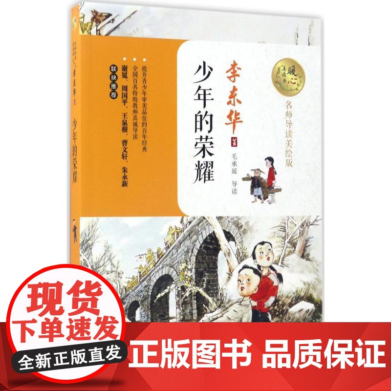 少年的荣耀李东华 著 著WX高清大图