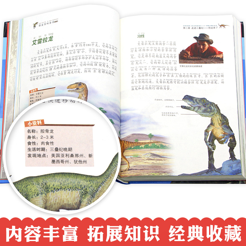 [醉染正版]青少年百科全书全6册 恐龙 兵器 动植物 昆虫 自然百科大全集 科普类书籍 中小学生课外阅读书籍 五六七年级高清大图