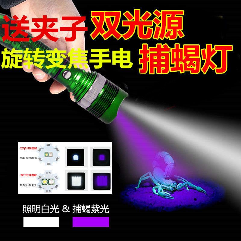 蝎子灯紫光灯超亮强光专用捕蝎灯照捉蝎子紫外线可充电手电筒验钞 5000毫安蝎子灯1电1充送聂子