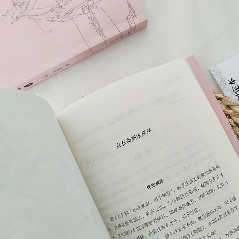 [正版]镜花缘(全2册) (清)李汝珍 著 中国古典小说、诗词 文学 中国友谊出版公司 图书
