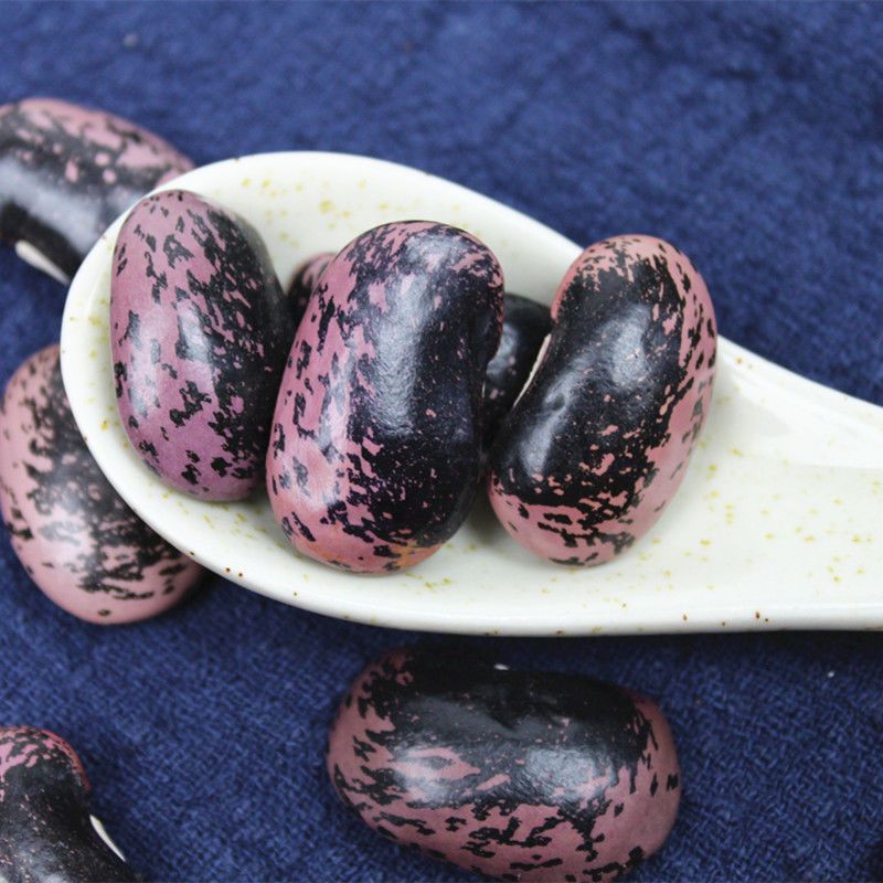 大黑花芸豆1斤大黑花芸豆5斤云南农家雪山黑芸豆牛眼豆大花豆豆类杂粮