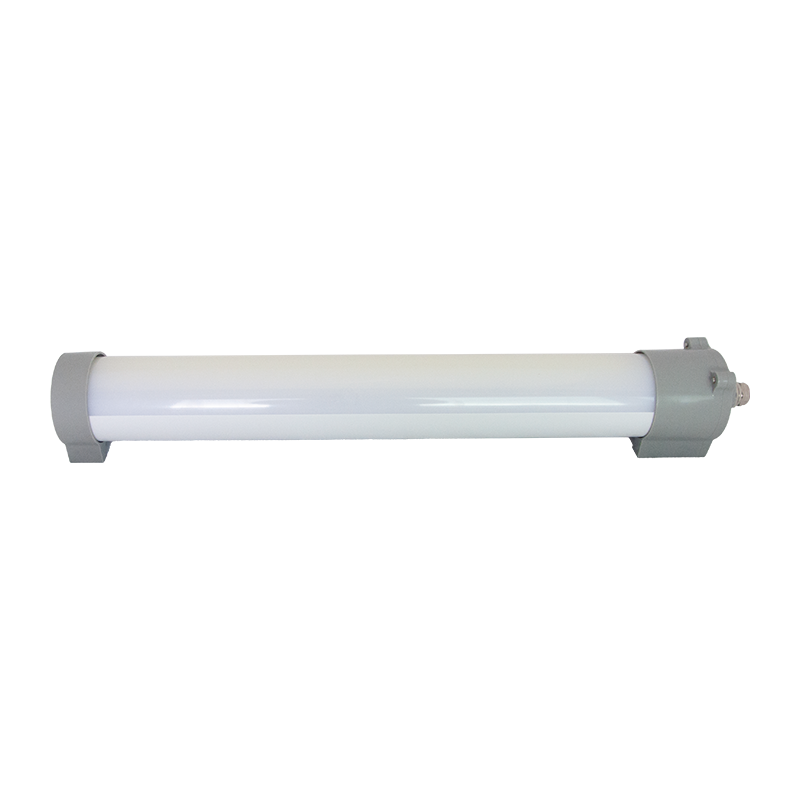 凯瑞CARY 白色LED应急灯 KLE1010-20W 应急时间≥180min IP67 AC220V 6000K高清大图