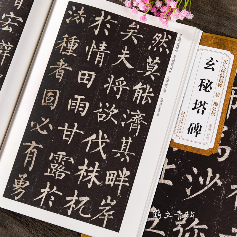 唐柳公权玄秘塔碑 柳体历代碑帖精粹 简体旁注 楷书碑帖毛笔字帖柳公权玄秘塔 书法古帖成人楷书初学者入门临摹高清大图