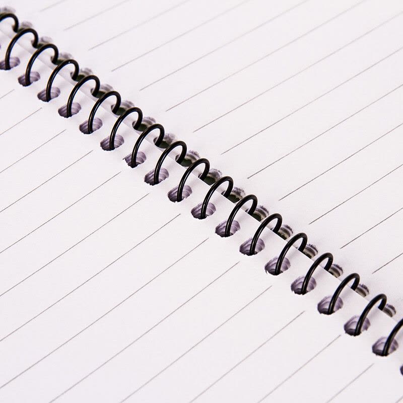 得力(deli) A580张线圈本螺旋装订笔记本子记事本软抄本7684 大包装 12本装图片