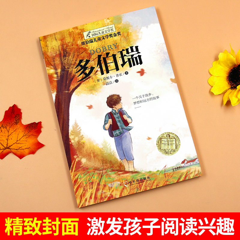 [正版]纽伯瑞国际大奖小说书系列 多伯瑞儿童文学故事书9-12-15岁四五六年级中小学生课外书籍青少年阅读物少儿励志畅高清大图