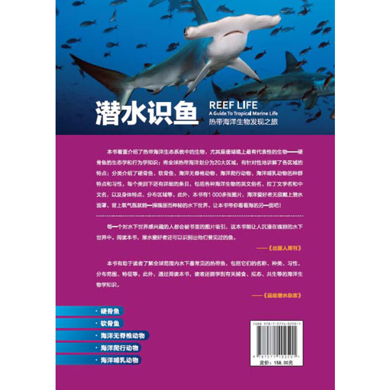 潜水识鱼:热带海洋生物发现之旅