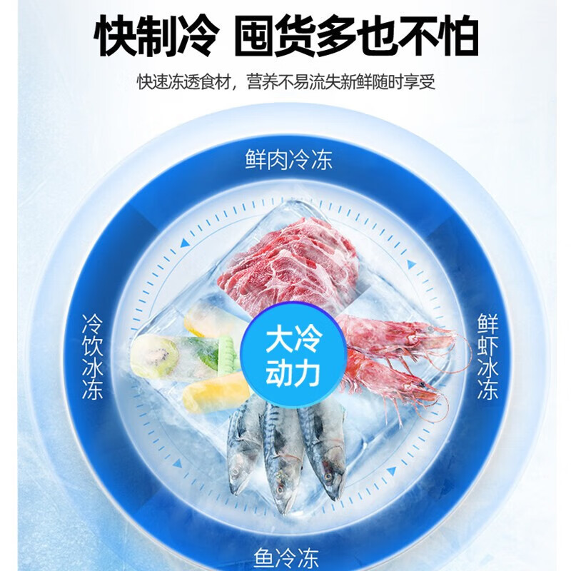 荣事达187升迷你冰箱小型家用租房冰箱宿舍小冰箱大容量节能低音BCD-187L9RSZ太空银