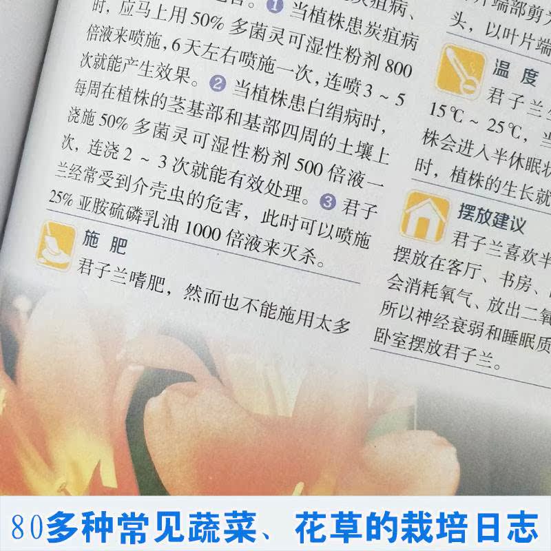 [醉染正版]家庭养花和阳台种菜全书一本书学会家庭养花和阳台种菜全书手把手教你养花种菜打造家庭小花园小菜园室内植物养花家庭高清大图