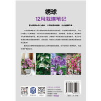 [醉染正版]绣球12月栽培笔记 川原田邦彦 种植技术 养花技巧 观赏 指南 NHK趣味园艺经典图书 9787111625