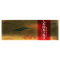健本 鲁南人参固本口服液 10ml*10支/盒 虚劳咳嗽心悸气短腰酸耳鸣