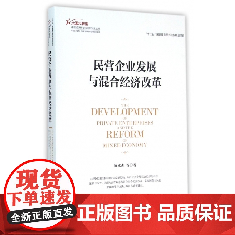 民营企业发展与混合经济改革/大国大转型中国经济转型与创新高清大图