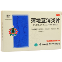 云丰 蒲地蓝消炎片 0.3g*48片/盒