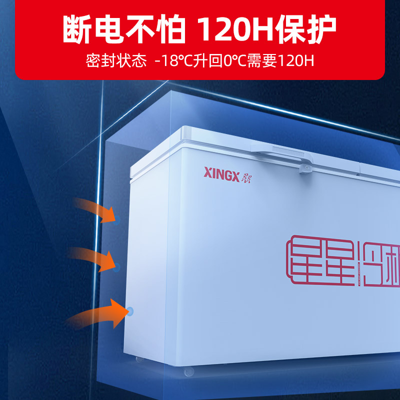 星星(XINGX) 601升 商用冷柜 冷藏冷冻转换柜 大容量冷柜 顶开门 商用大柜 BD/BC-628GE高清大图