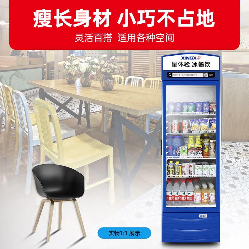 星星(XINGX) 280升 展示柜 饮料柜 冷藏柜 商用立式冷柜 玻璃门 超市大容量冰箱 LSC-280G