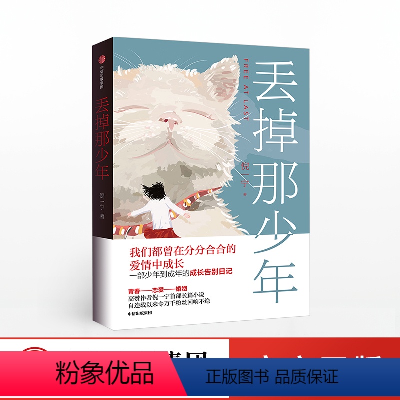 [正版]丢掉那少年 倪一宁著 聚焦90后的爱情与婚姻 一部成长告白日记 青春恋爱婚姻 言情情感小说青春文学