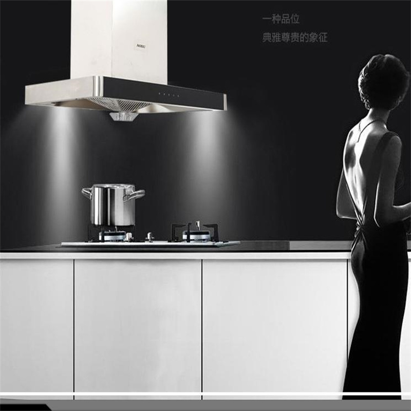奥旭(AOXU) 家用油烟机 单台