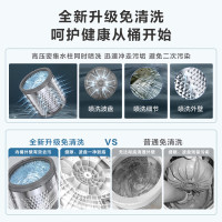 小天鹅(LittleSwan)波轮洗衣机全自动 12公斤大容量 直驱变频 免清洗不脏桶健康除螨洗TB120-1808DB