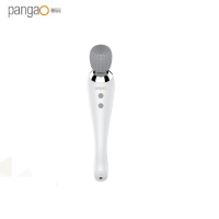 攀高(pangao) PG-M180 魔力棒 魔力棒 单台装