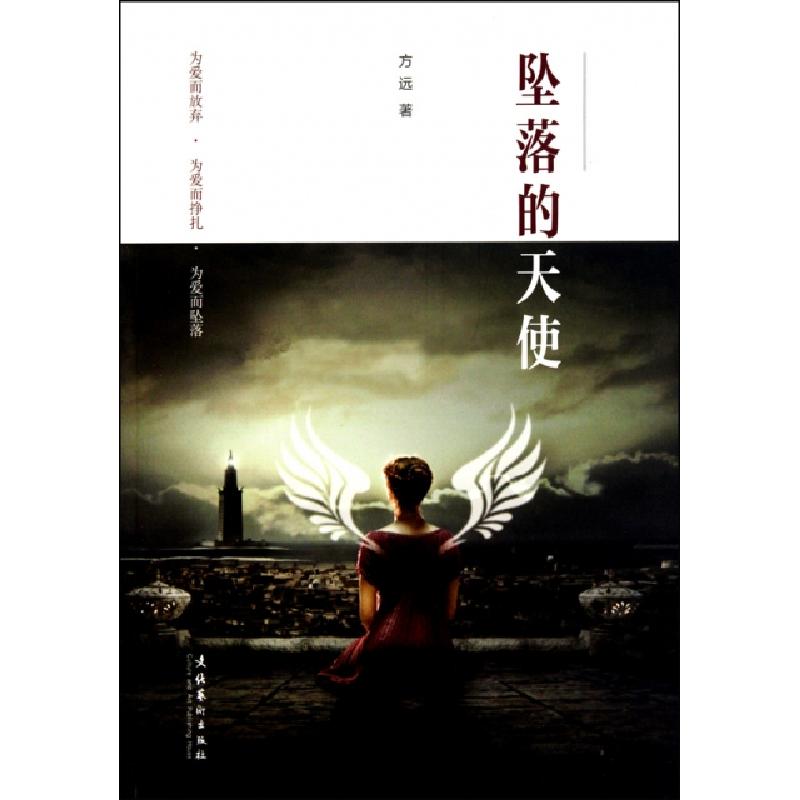 正版新书】坠落的天使方远9787503941856