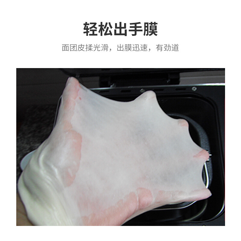 柏翠（petrus） PE8609面包机 家用全自动撒果料 冰淇淋功能 和面 双管烘烤香槟金