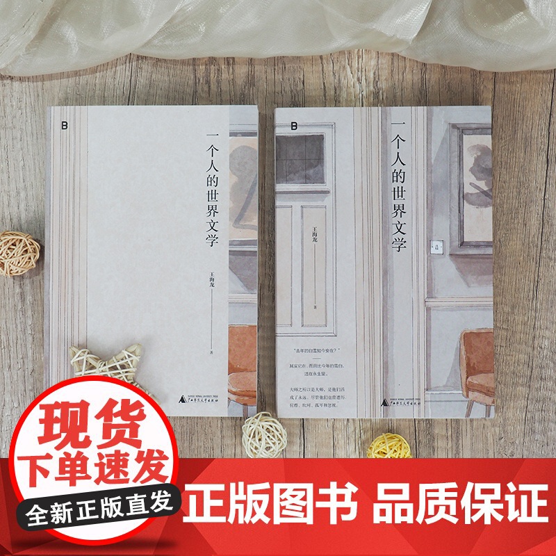 [正版] 一个人的世界文学 北贝 王海龙/著 外国文学 中国现代文学 艺术 博物馆 旅行 广西师范大学出版社高清大图