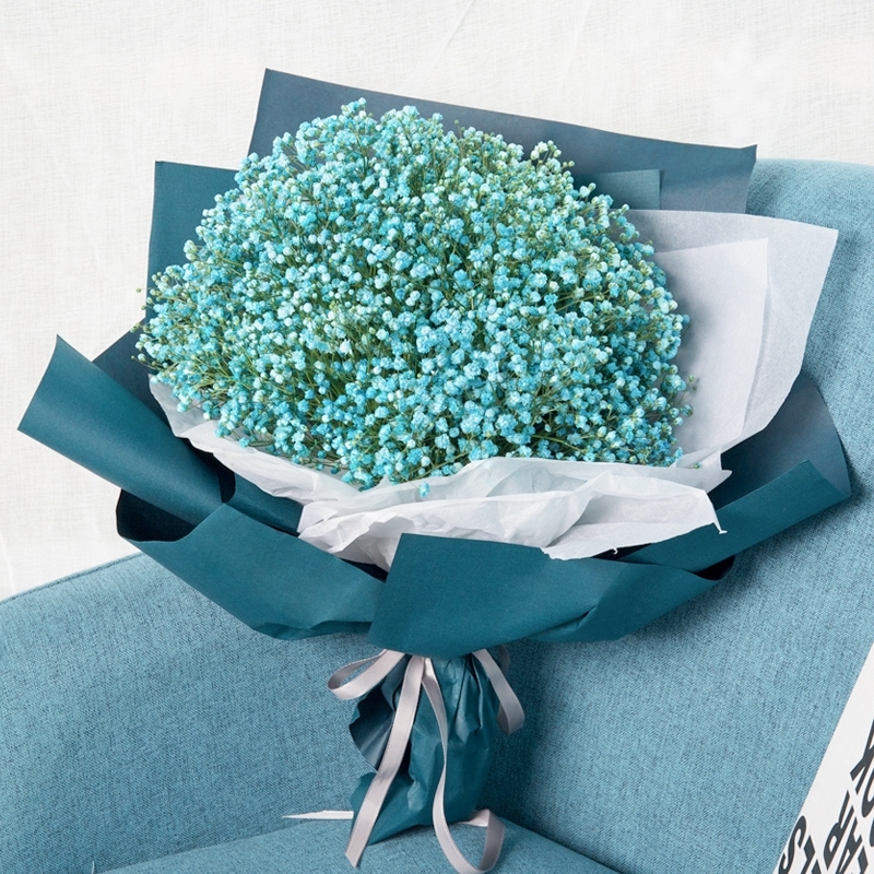 大束满天星礼品装送女朋友老婆礼物小清新花束精装大束蓝色满天星