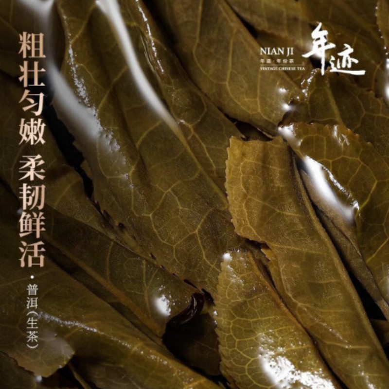 小罐茶年迹班章普洱生态生茶春茶 茶叶礼盒 2023班章生茶512g高清大图