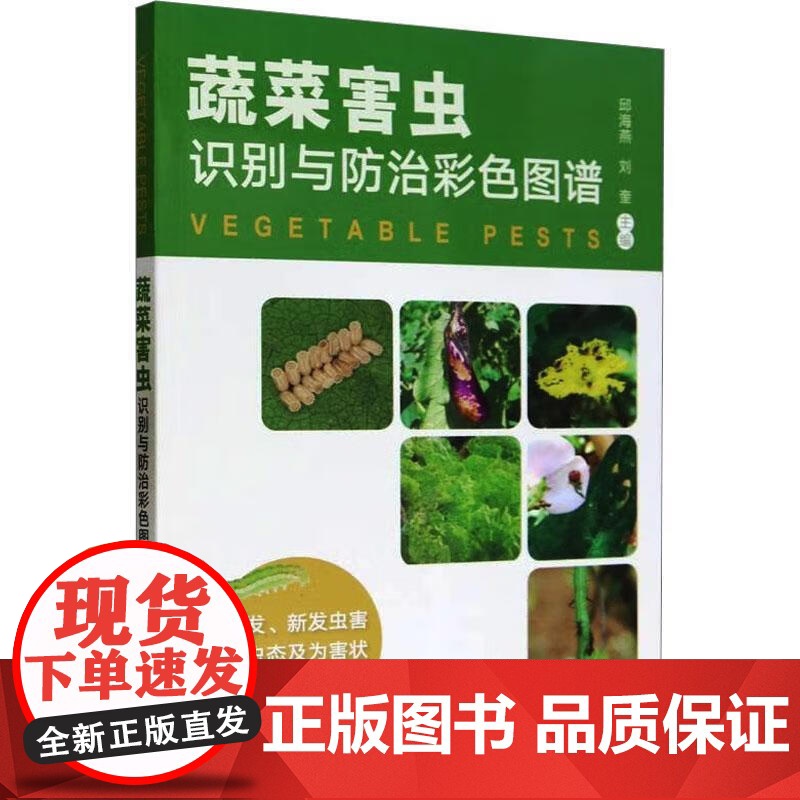 蔬菜害虫识别与防治彩色图谱 邱海燕,刘奎 著 中国农业出版社9787109309555高清大图