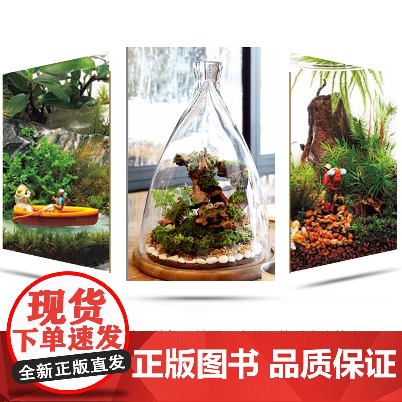 生活-苔藓生态瓶 教你打造迷你玻璃微景观花园制作花卉DIY盆栽缸种植物技巧教程与养护图鉴多肉花艺园艺创意设计图谱多肉辨别高清大图