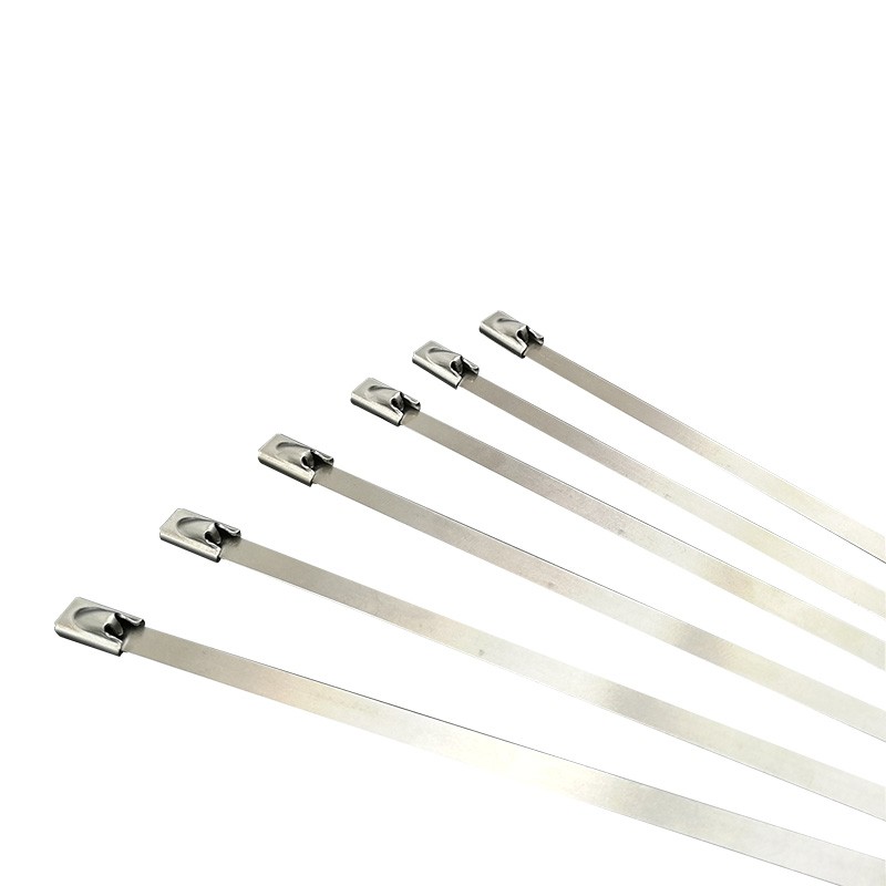 捷宇辉304不锈钢扎带自锁100根4.6*550mm/包高清大图