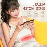 佳禾美暖宫护腰电加热保暖护腰带腹部按摩器女大姨妈痛肚子疼月经期神器礼物防寒宫寒发热痛经 直充款-绿色(配10个艾草包)