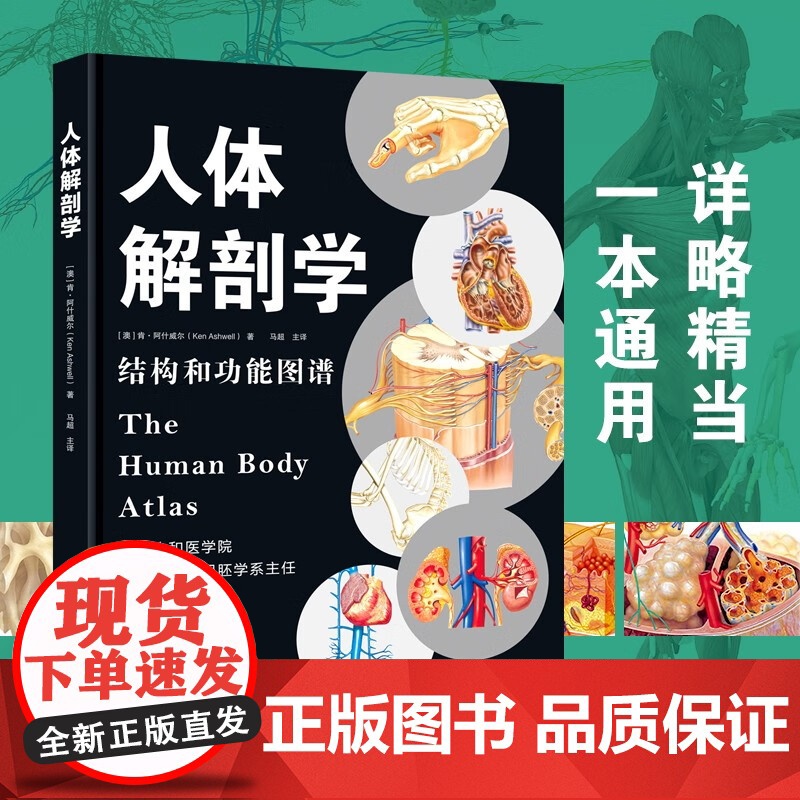 人体解剖学 肯·阿什威尔 著 科普读物