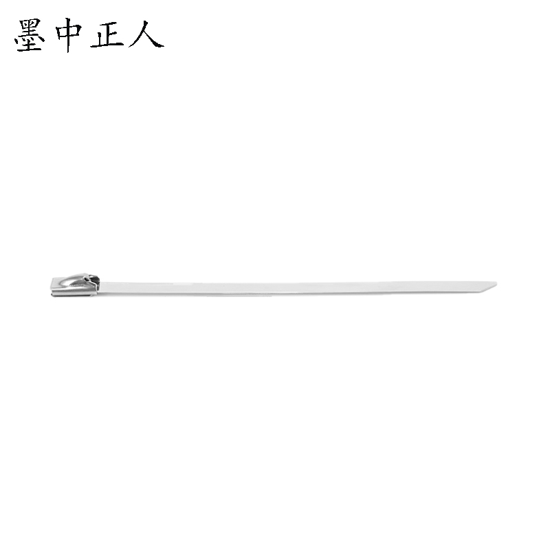 墨中正人不锈钢扎带zd700根高清大图