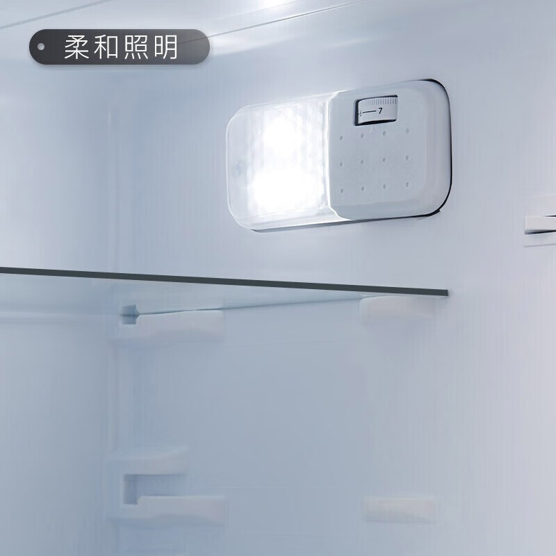 TCL 120升 小型双门电冰箱 BCD-120C