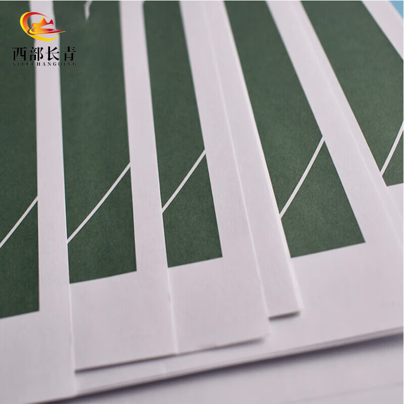 西部长青靶纸打靶纸野战训练用靶纸侧身跑步靶纸(带环)50张 100*50cm高清大图